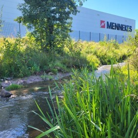 Nachhaltigkeitsleitbild Bachlauf mit dichtem Schilf vor einer MENNEKES-Produktionshalle an sonnigem Tag.